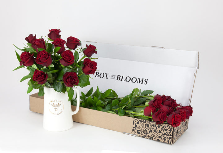 1 Dozen Red Roses