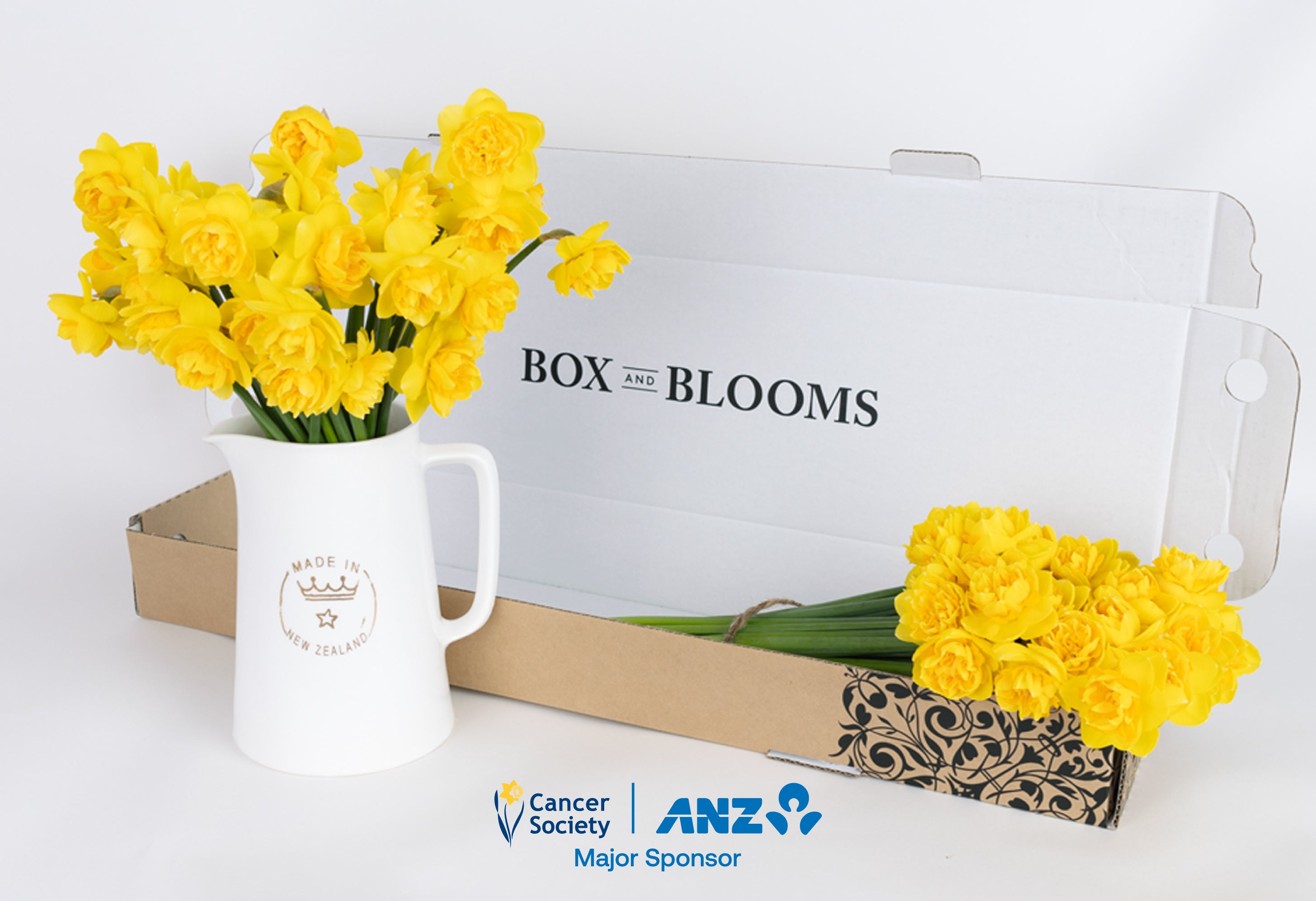 Daffodils - 30 Stem
