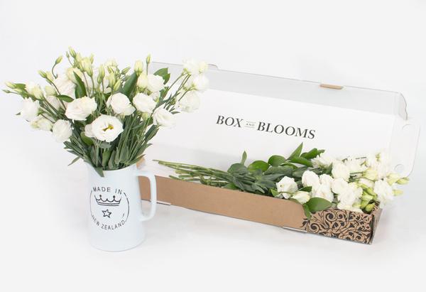 White Lisianthus Blooms
